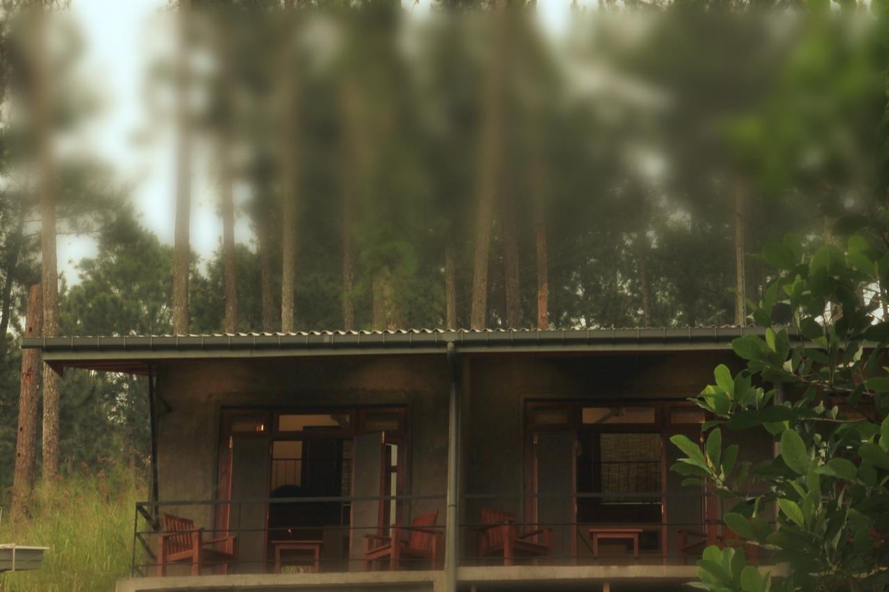 Rowinrich Cottages Ела Екстериор снимка