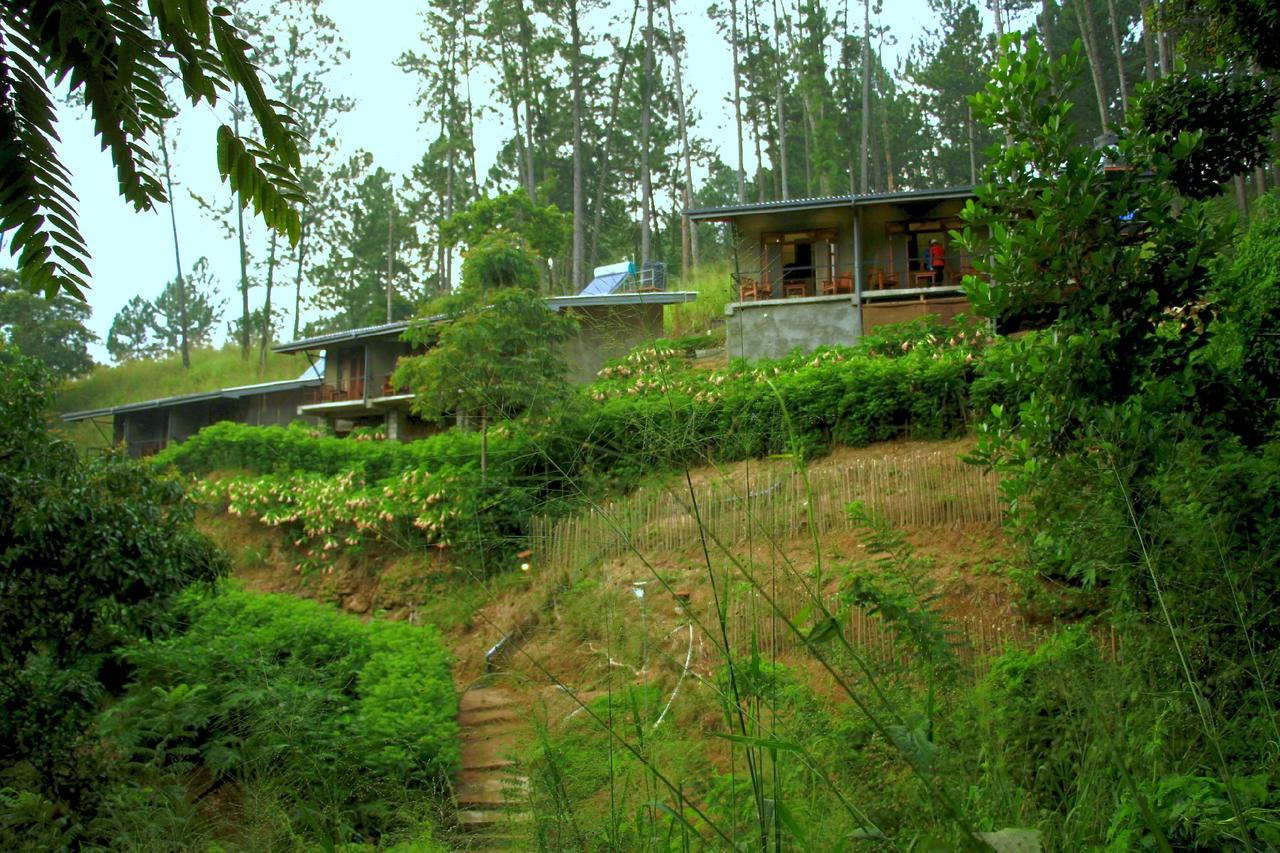 Rowinrich Cottages Ела Екстериор снимка