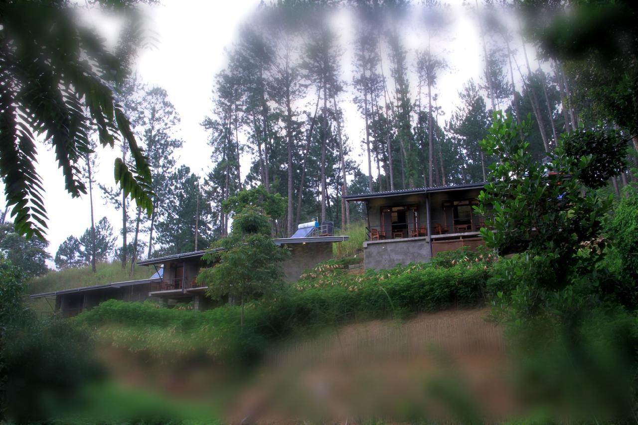 Rowinrich Cottages Ела Екстериор снимка