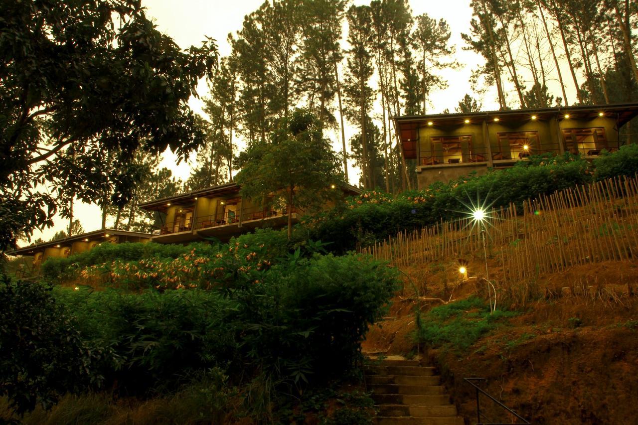 Rowinrich Cottages Ела Екстериор снимка